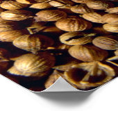 Hele korianderzaad poster (Hoek)