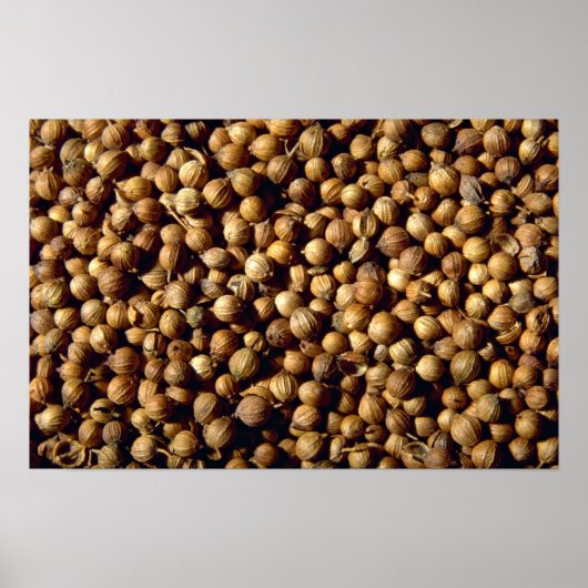 Hele korianderzaad poster (Voorkant)