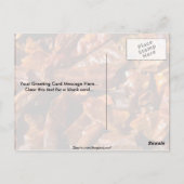 Hele pepers briefkaart (Achterkant)