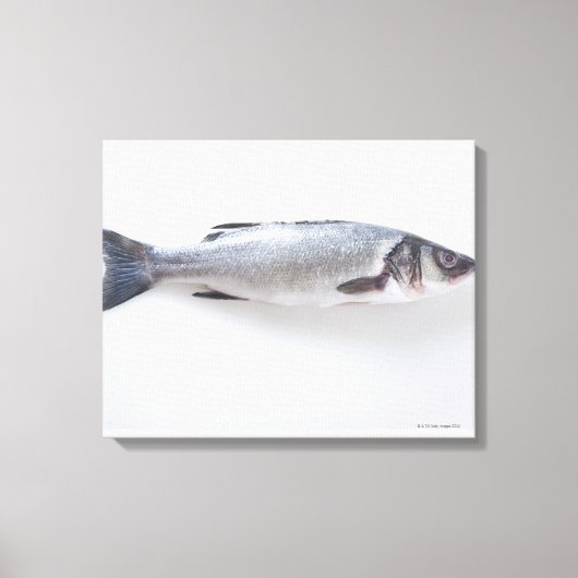 Hele zink canvas afdruk (Voorkant)