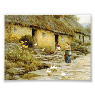  Helen Allingham Irish Cottage Foto Afdruk