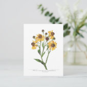 Helenium Briefkaart (Staand voorkant)