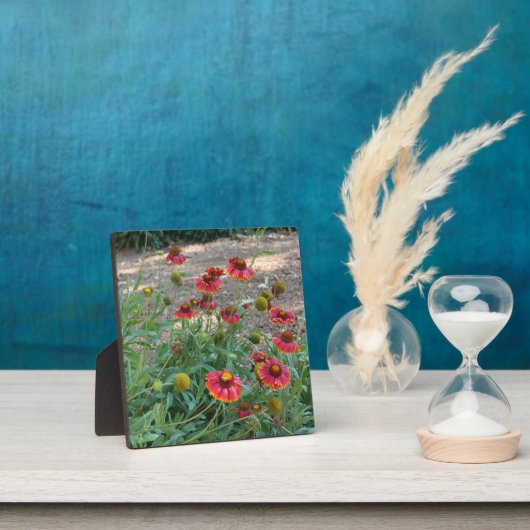 Heleniumbloemen Fotoplaat (Insitu)