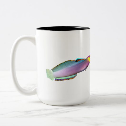 Helfrich's dartfish, Nemateleotris helfrichi Tweekleurige Koffiemok (Links)