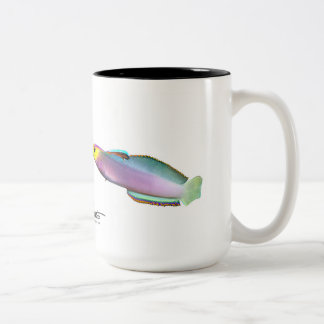 Helfrich's dartfish, Nemateleotris helfrichi Tweekleurige Koffiemok