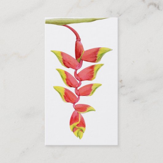 Heliconia Branch Profile Card Visitekaartje (Voorkant)