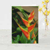 Heliconia, carte blanche (Fleur jaune)