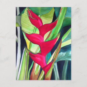 Heliconia Lobster Claw tropische waterverf Briefkaart