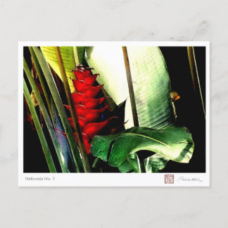 Heliconia nr. 1 briefkaart