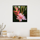 Heliconia Pink Torch Ginger Hawaiian Poster Prints (Keuken)