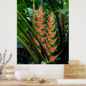 Heliconia Poster (Keuken)