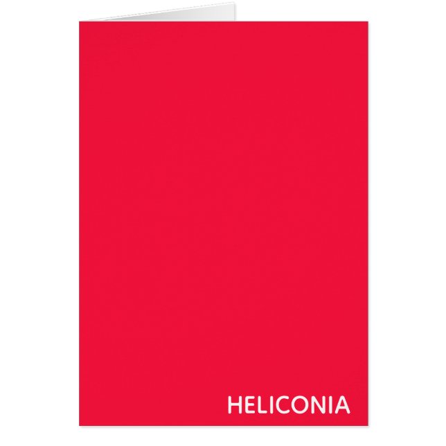 Heliconia rode kleurnaam (Voorkant)