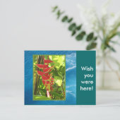 Heliconia rostrata briefkaart (Staand voorkant)