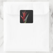 Heliconia Vierkante Sticker (Tas)