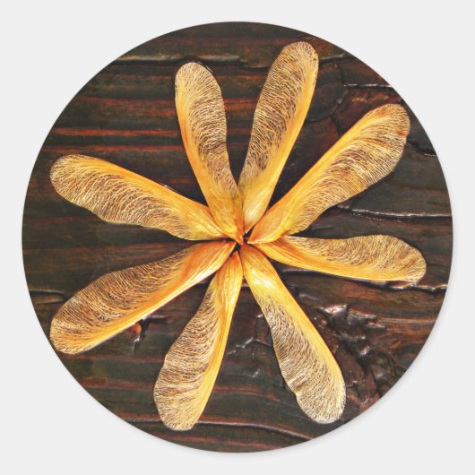 Helikopter Maple Tree zaailingen Cirkel Ronde Sticker (Voorkant)