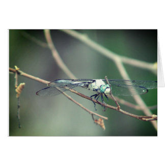 Helikopter Piloot Dragon Fly