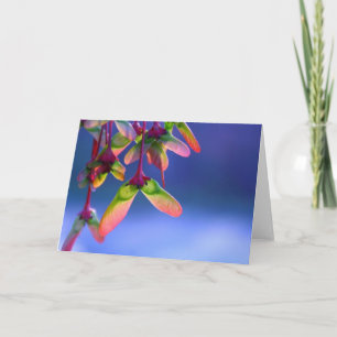 Helikopters met rode mantel blank kaart