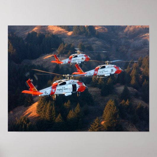 Helikopters voor kustwacht MH-60 Jayhawk Poster (Voorkant)