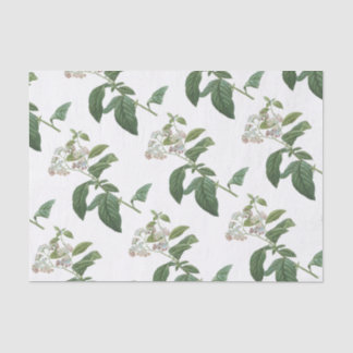 Heliotroop bloempatroon tissuepapier
