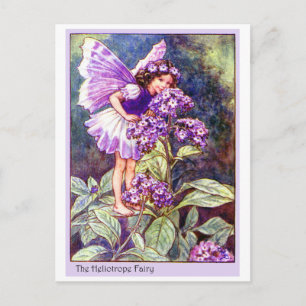Heliotrope Fairy Briefkaart