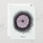 Heliozoa Microbiology Geek Digital Art Briefkaart (Voorkant / Achterkant)