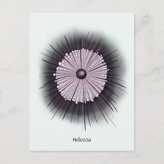 Heliozoa Microbiology Geek Digital Art Briefkaart (Voorkant)