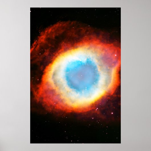 Helixnevel Poster (Voorkant)
