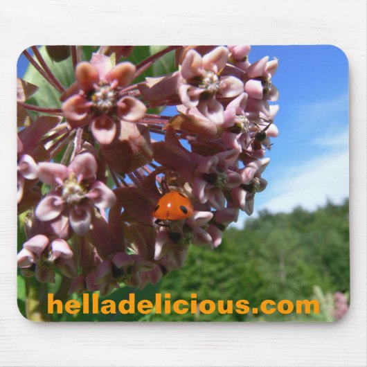 Hella Delicious Mousepad Muismat (Voorkant)