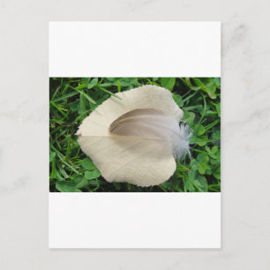 Hellbraune Feder auf hellbeigem Blatt Briefkaart