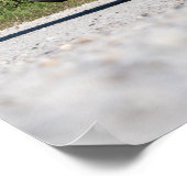 Hellcat Challenger Poster (Hoek)