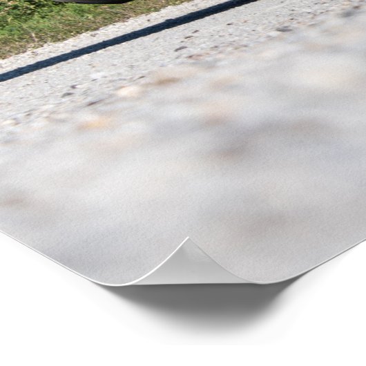 Hellcat Challenger Poster (Hoek)