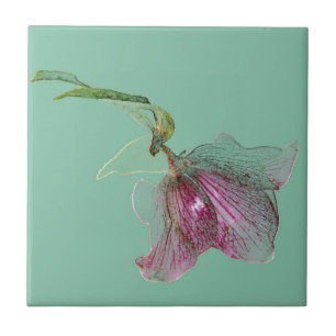 Hellebore bloem op mintgroene turquoise tegeltje