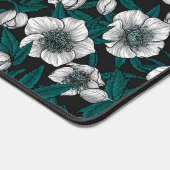 Hellebores blancs avec feuilles bleus (Coin)