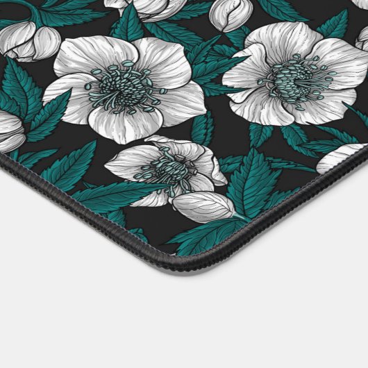 Hellebores blancs avec feuilles bleus (Coin)