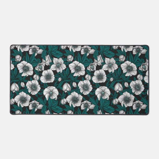 Hellebores blancs avec feuilles bleus (Recto)