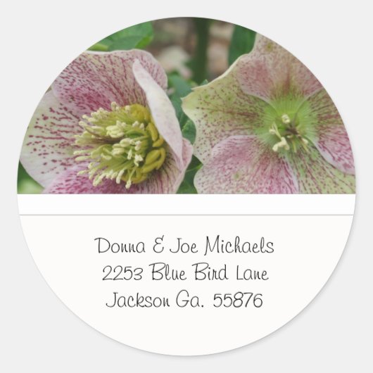 Hellebores Fleurs Adresse Stickers (Devant)