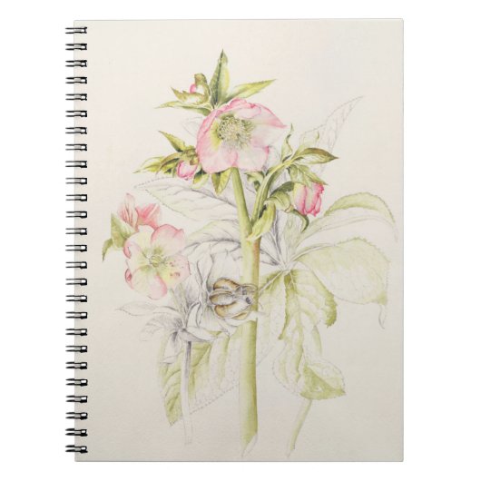Hellebores Notitieboek (Voorkant)