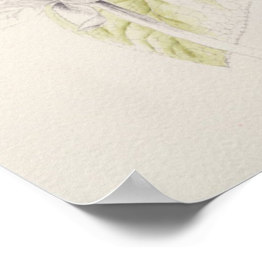 Hellebores Poster (Hoek)