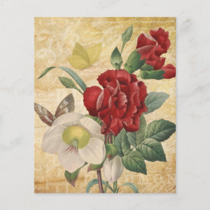 Hellebores rouge et blanc Papier à papier à papier