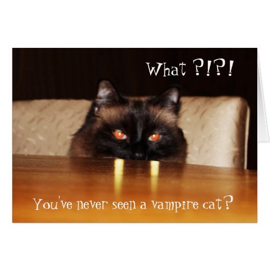 Hello Card Cute Funny Vampire Photo de chat (Devant horizontal)