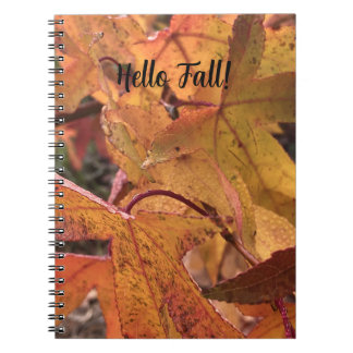 "Hello Fall!" Notebook Notitieboek