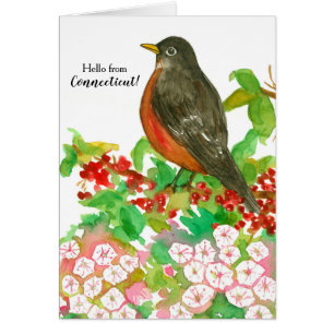 Hello from Connecticut American Robin State Bird