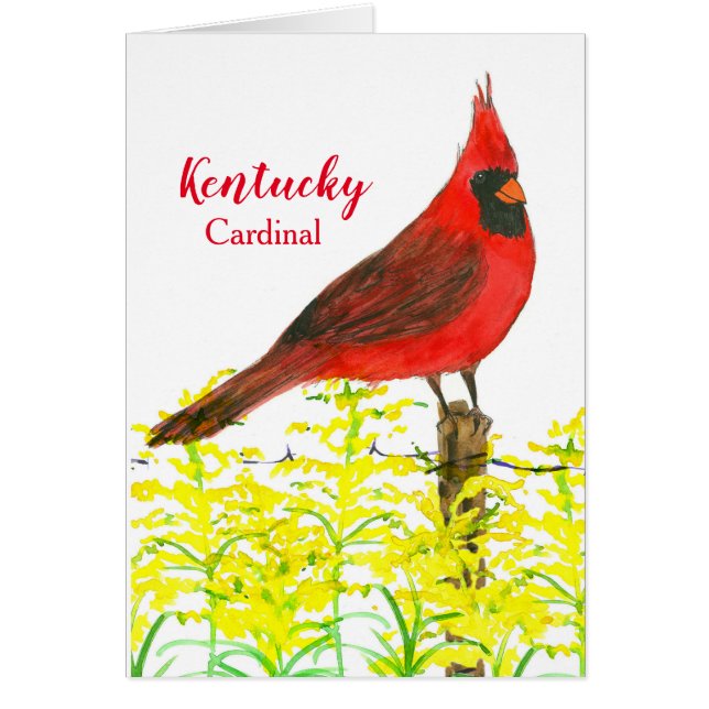 Hello From Kentucky Cardinal State Bird Blank (Devant)