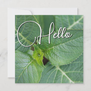 Hello-geboorte heet u van harte welkom notitiekaartje