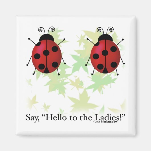 Hello Ladies Magneet (Voorkant)