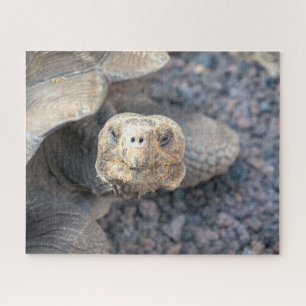Hello There-Giant Tortoise Legpuzzel