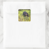 Hello There Sticker Carré Ours Noir (Sac)