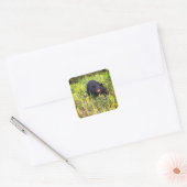 Hello There Sticker Carré Ours Noir (Enveloppe)