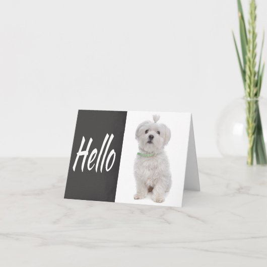 Hello White Maltese Puppy Dog Chalkboard Note Card Kaart (Voorkant)