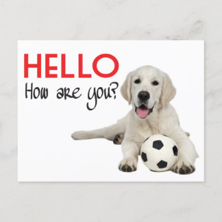 Hello Yellow Labrador Retriever Post Card Briefkaart